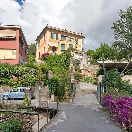 Fiordalisi * Rapallo